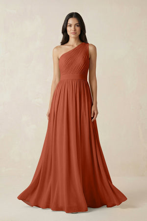 One - Shoulder Pleated Chiffon Bridesmaid Gown in Spice - SHE IS ME Bridesmaid Dresses